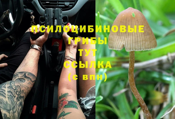 PSILOCYBIN Краснослободск