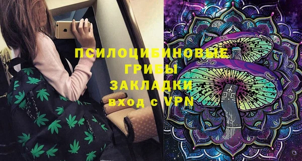 PSILOCYBIN Краснослободск