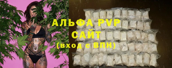 PSILOCYBIN Краснослободск
