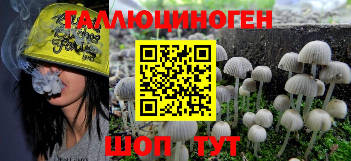 купить закладку  Псилоцибиновые грибы MAGIC MUSHROOMS  Усинск  Вход с VPN  Галлюциногенные грибы мицелий 